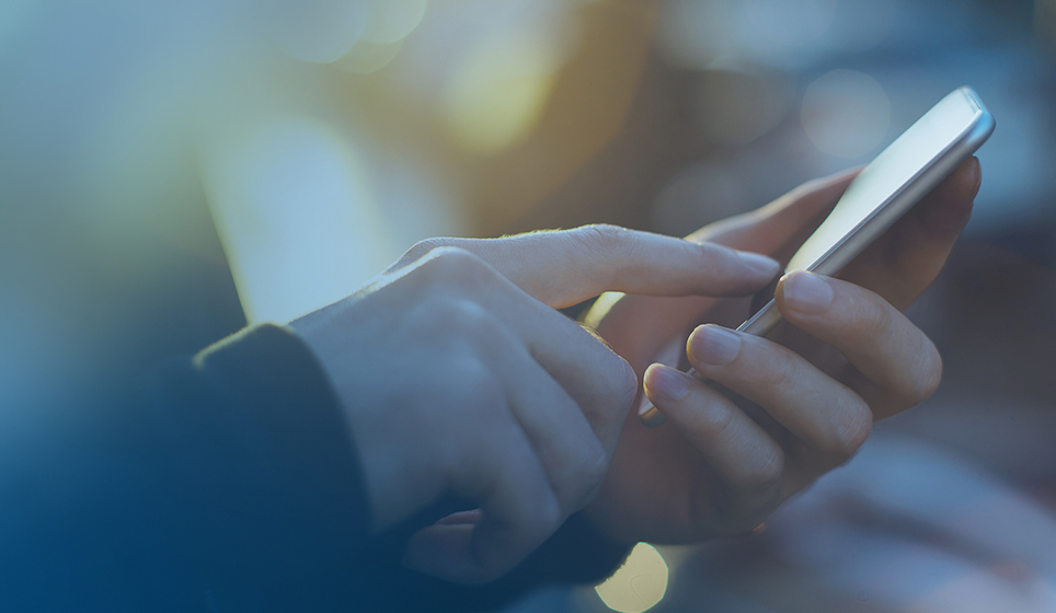 ��ϵz6com������¼���